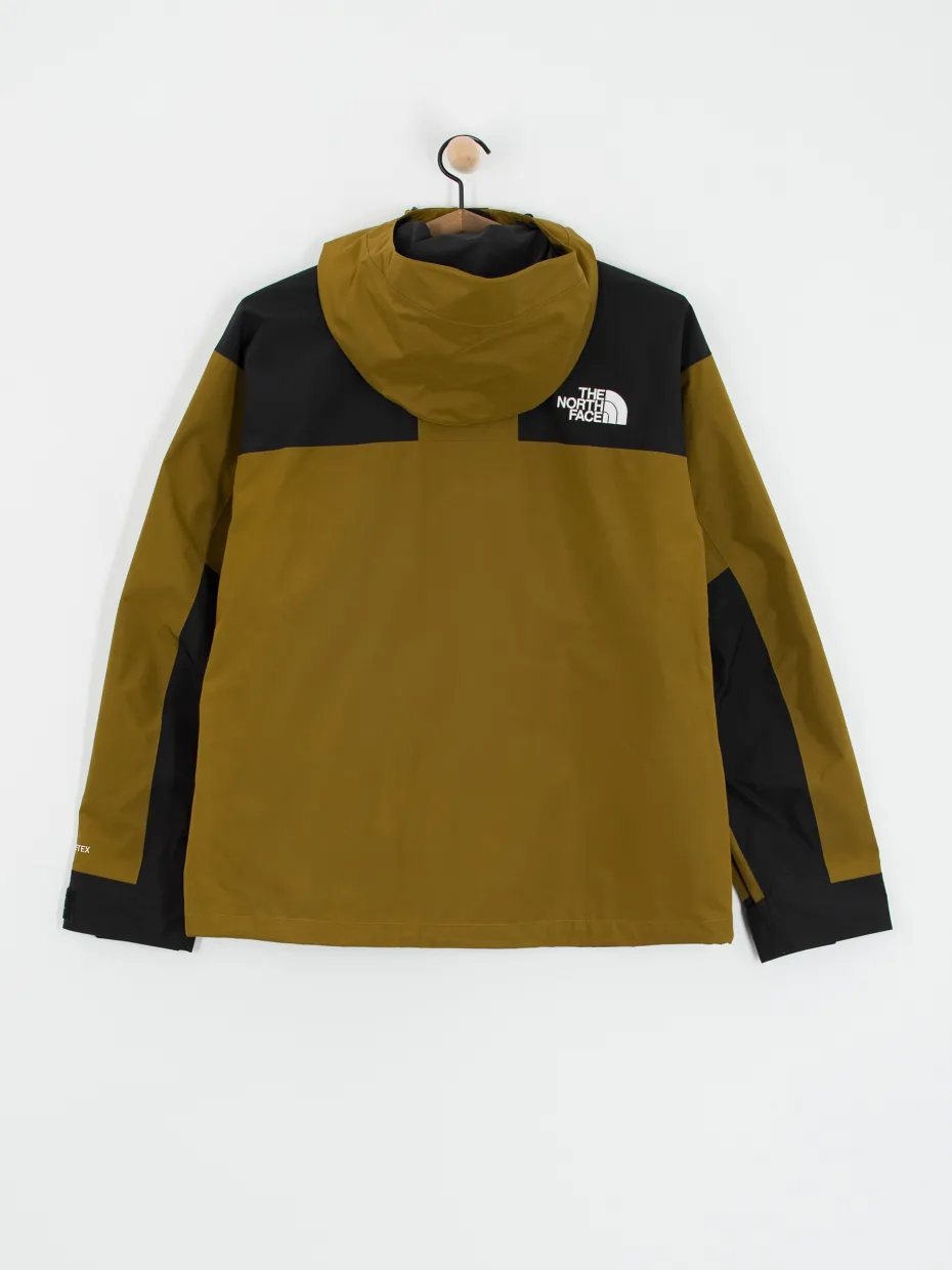 The North Face Gtx Mtn Jacket