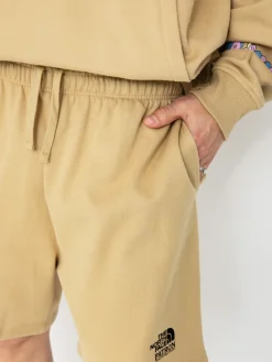 The North Face Mountain Cleanup Relaxed Shorts