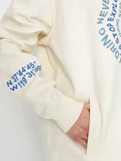 The North Face Nse Graphic HD Hoodie