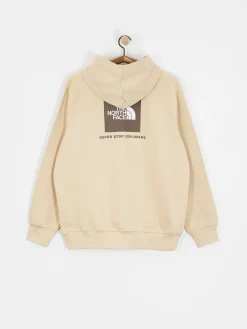 The North Face Raglan Box Nse HD Hoodie