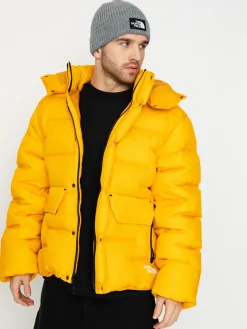 The North Face Rmst Sierra Parka Jacket