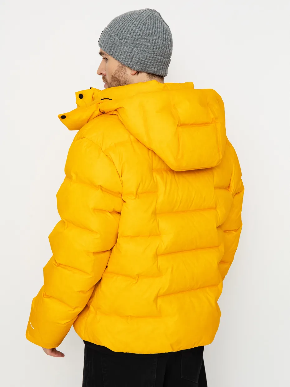 The North Face Rmst Sierra Parka Jacket