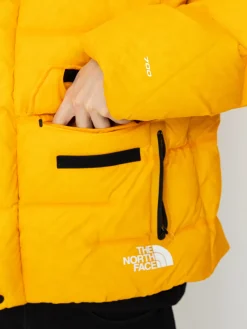 The North Face Rmst Sierra Parka Jacket