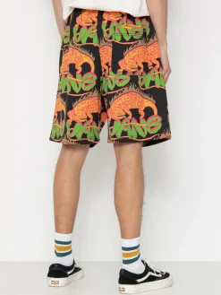 Vans Chameleon Loose Fleece Shorts