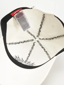 Vans Skate Smile Spike Curve Bill Cap