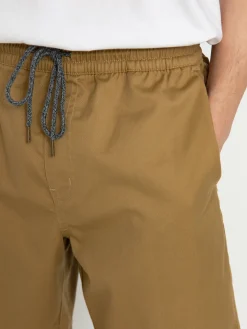 Volcom Frickin Ew 19 Shorts