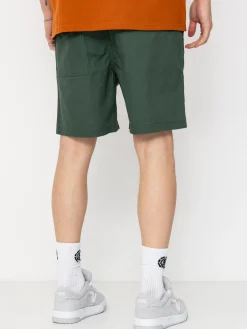 Volcom High Stone Ew 18 Shorts