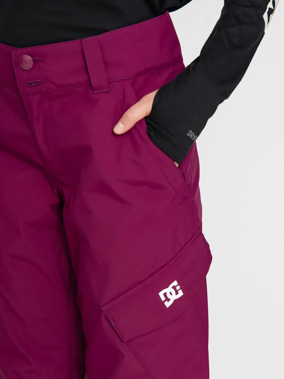 Womens DC Nonchalant Snowboard pants