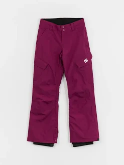 Womens DC Nonchalant Snowboard pants