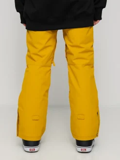 Womens Roxy Backyard Snowboard pants