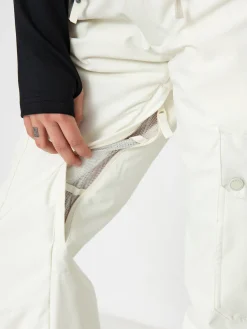 Womens Roxy Passive Lines Snowboard pants