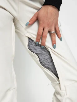 Womens Volcom Species Stretch Snowboard pants