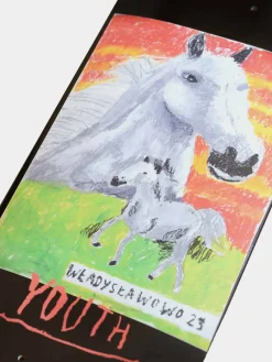 Youth Skateboards Deck Władysławowo